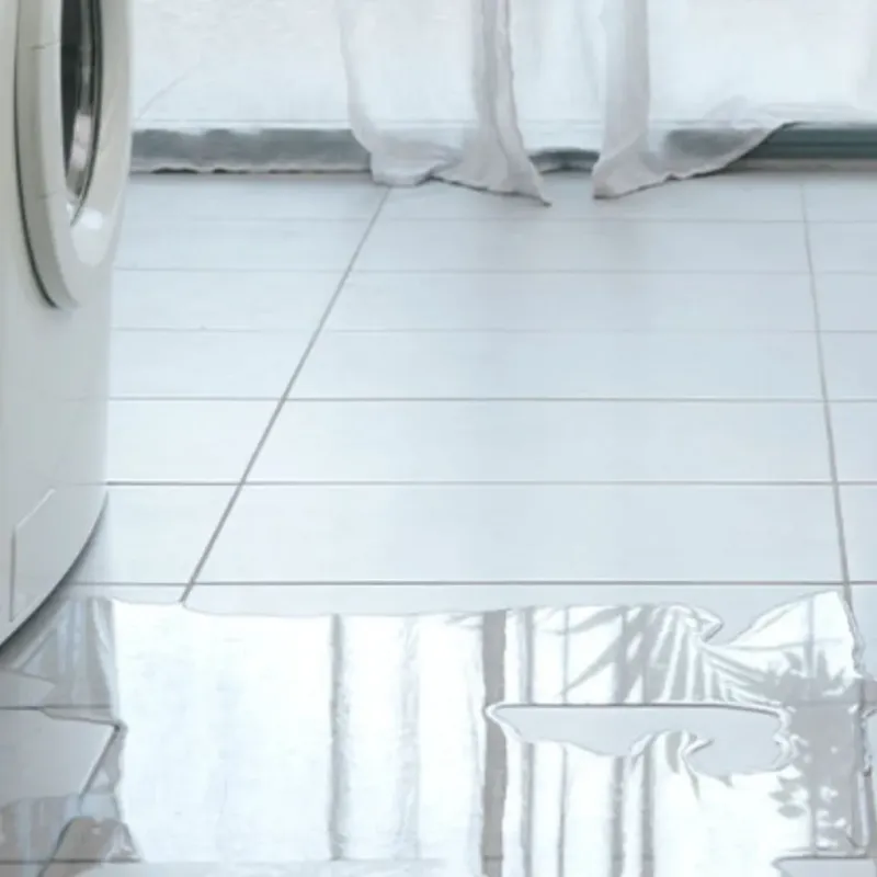 Appliance Leak Cleanup in Naples Park, FL